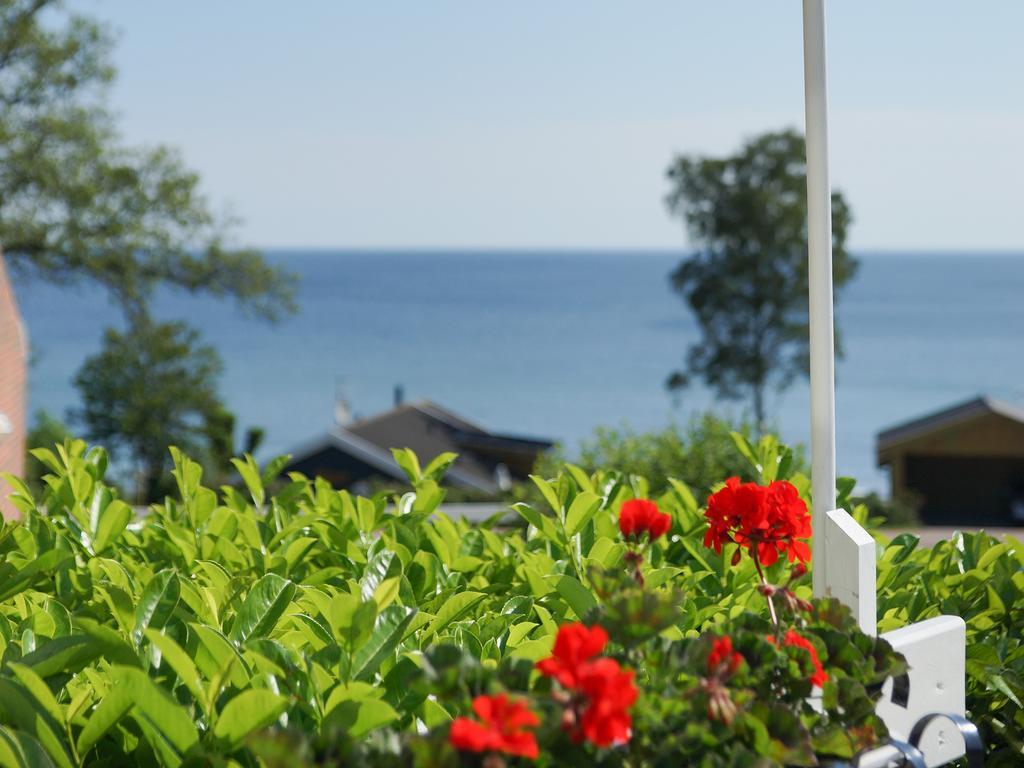 Hotel Friheden 3*
